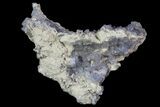 Purple/Gray Fluorite Cluster - Marblehead Quarry, Ohio #81195-2